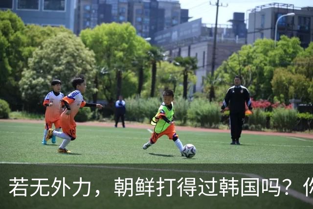 若无外力，朝鲜打得过韩国吗？你看边境上的士兵，结果一目了然
